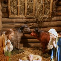 Marie et Joseph dans la crèche de Noël