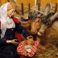 L'âne et le bœuf dans la crèche de Noël