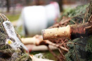 Le pied du sapin de Noël