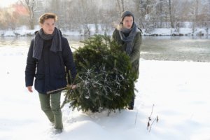 Comment couper un sapin pour Noël ?