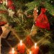 Paroles de chansons de Noël : C'est Noël, Joie sur la Terre
