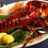 Apprendre à connaître le homard pour Noël