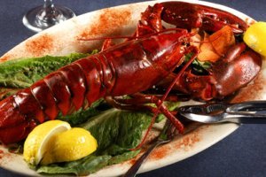 Apprendre à connaître le homard pour Noël