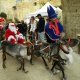 Marché de Noël aux Taillades <br />DR