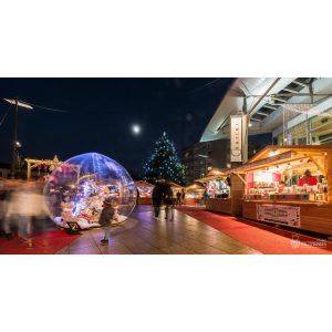 Marché de Noël d'Annecy - Le Village des Alpes